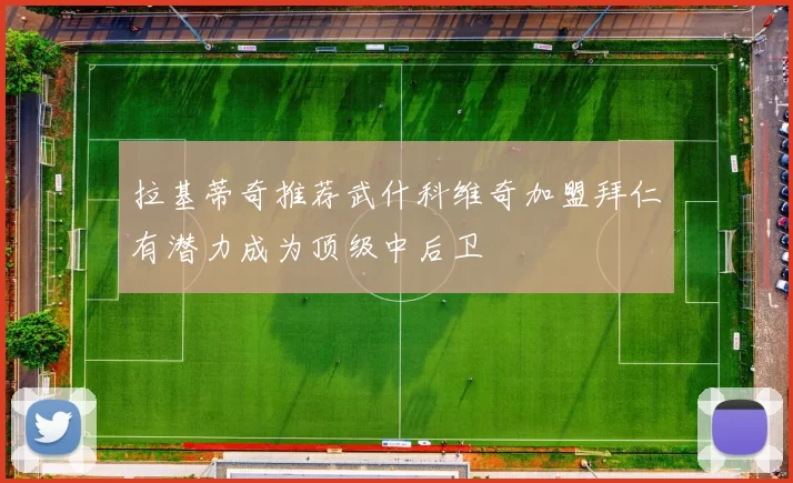 拉基蒂奇推荐武什科维奇加盟拜仁有潜力成为顶级中后卫